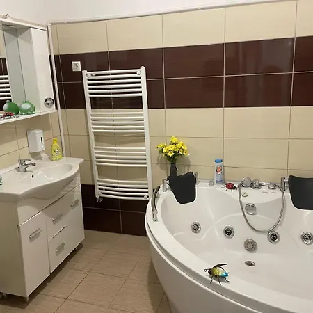 Huge In Old Town For Up To 9 People * Bukurešť